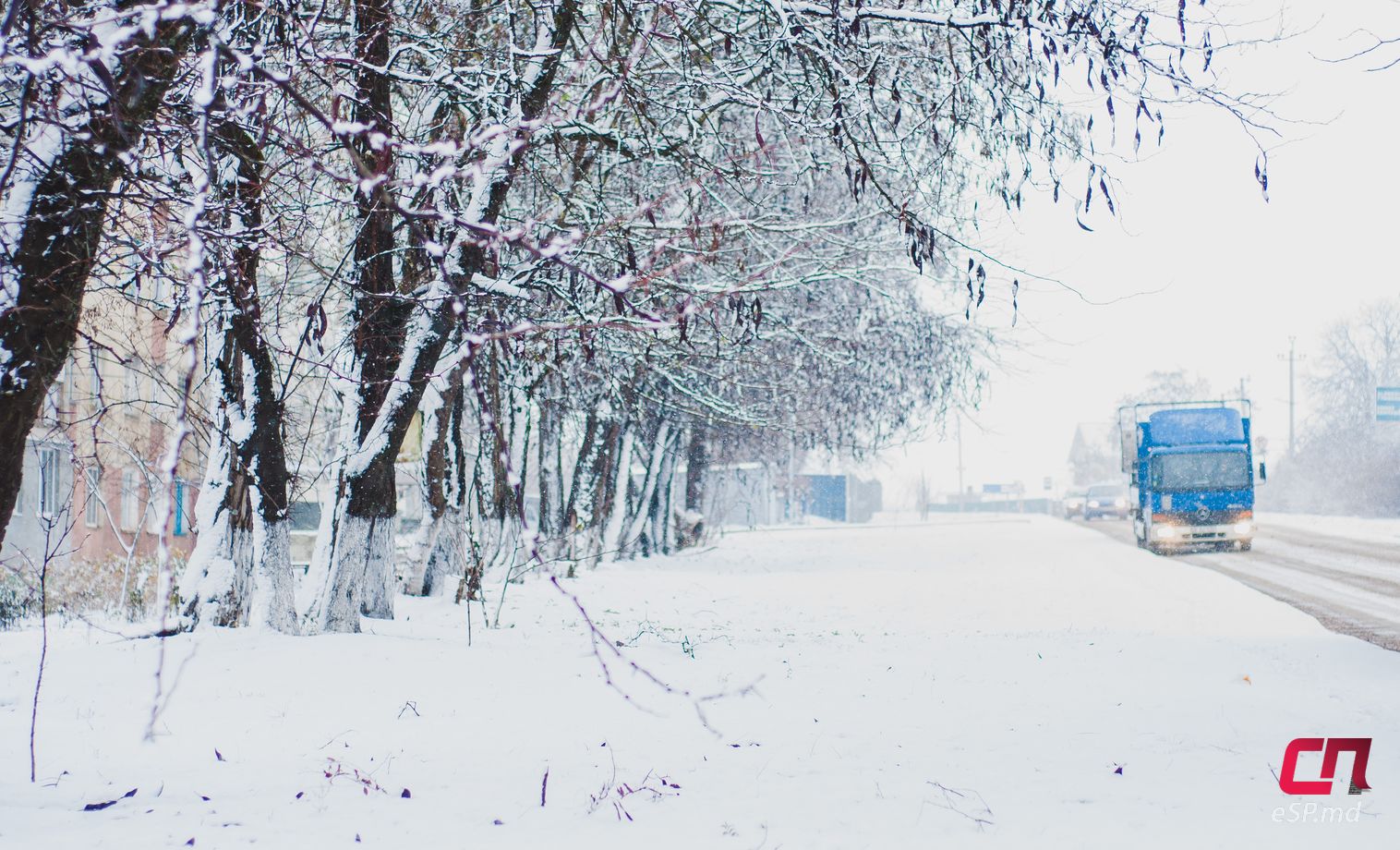 Бельцы зимой в снегу