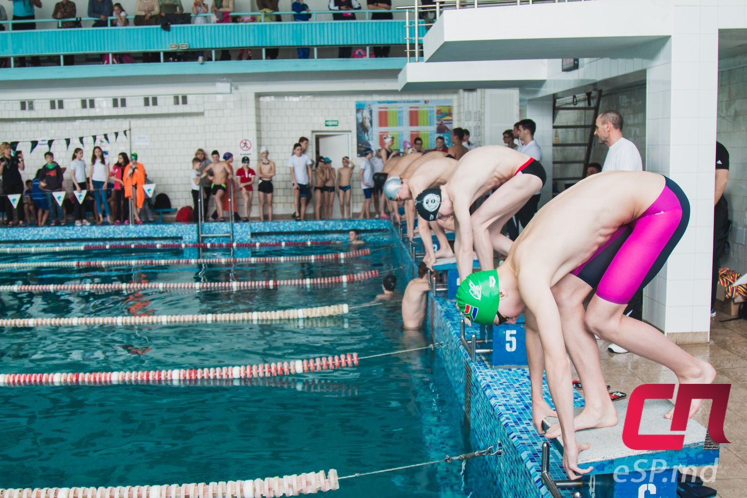 Соревнования по плаванию в Бельцах
