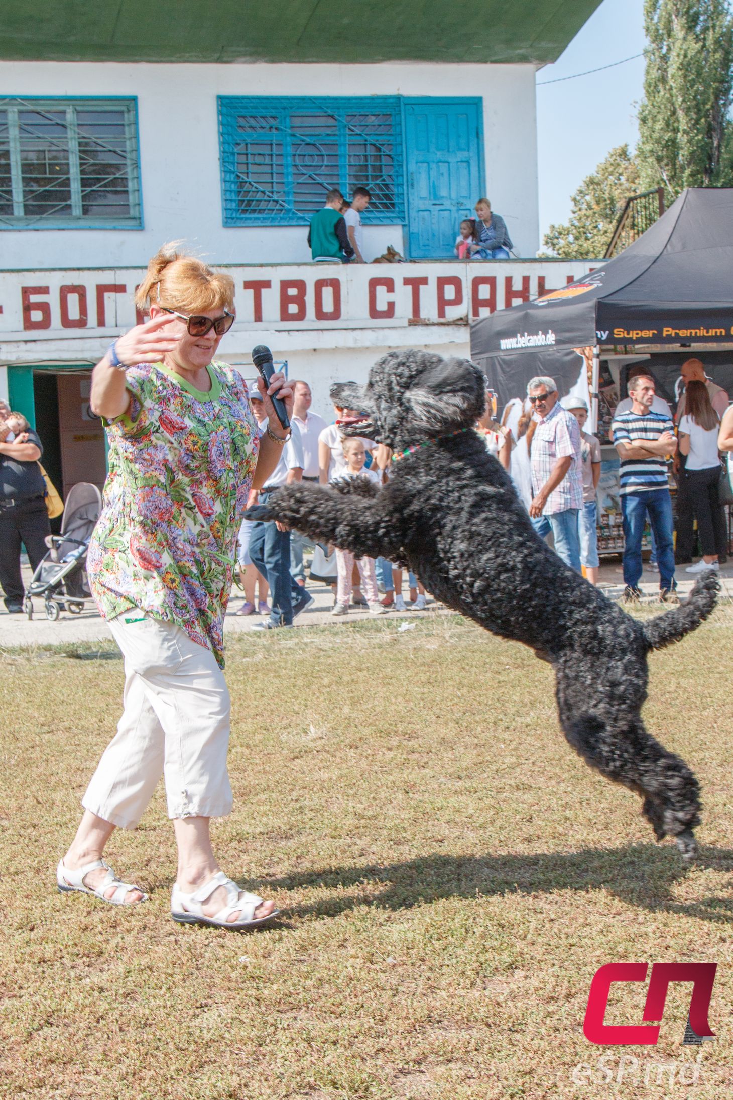 Международная выставка собак - 2017 в Бельцах