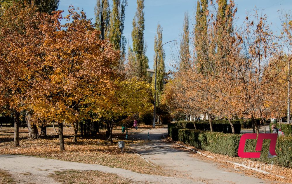 20 фотографий ярких осенних Бельц фото 1