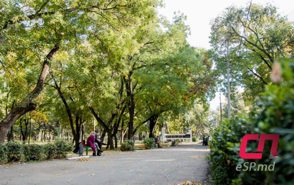 20 фотографий ярких осенних Бельц фото 2