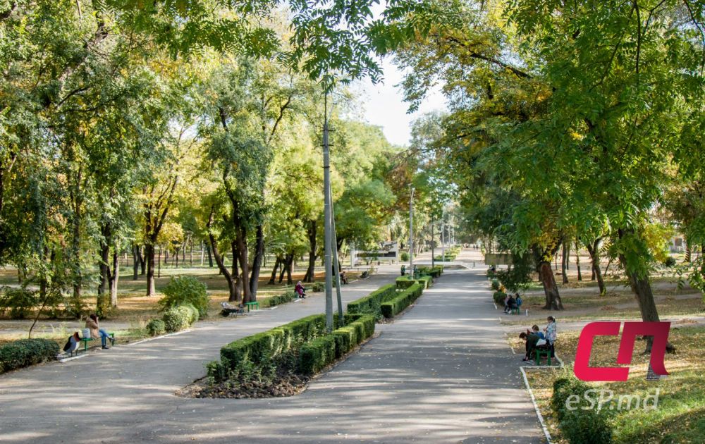 20 фотографий ярких осенних Бельц фото 3