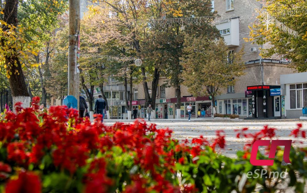 20 фотографий ярких осенних Бельц фото 4