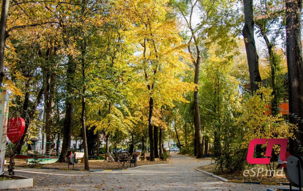 20 фотографий ярких осенних Бельц фото 10