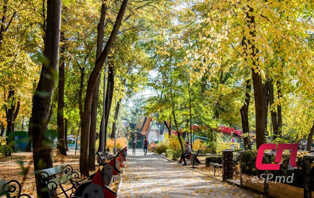 20 фотографий ярких осенних Бельц фото 11