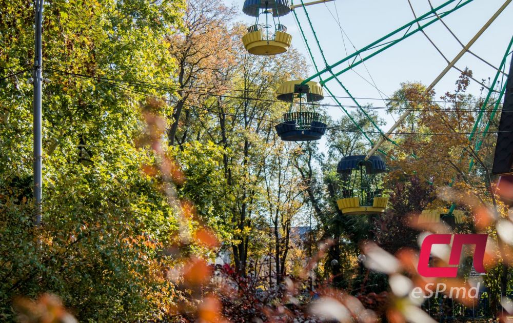 20 фотографий ярких осенних Бельц фото 12