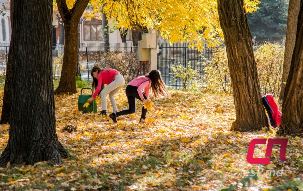 20 фотографий ярких осенних Бельц фото 14