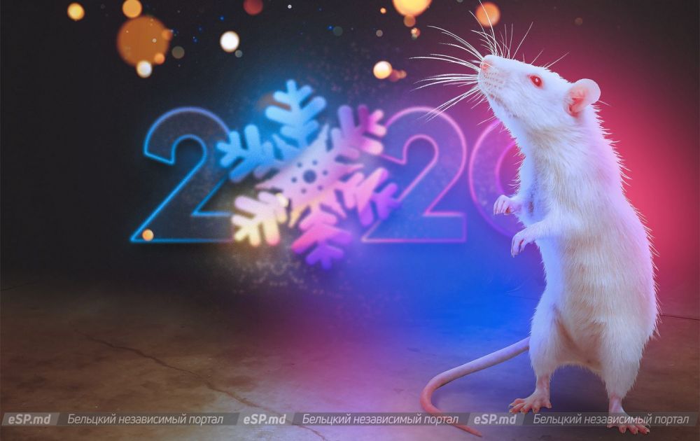 Гороскоп Год Крысы 2023 По Знакам