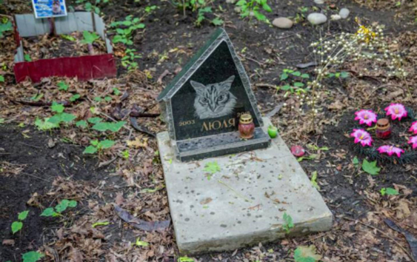 Кладбище Домашних Животных В Москве Фото