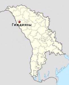 Младенца задушили и выбросили в озеро