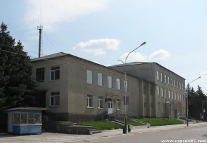 Примар Рышкан попал в ДТП на служебной машине