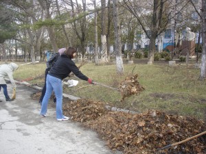 Положительный пример: субботник по собственной инициативе