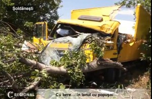 Грузовик пива в кукурузе