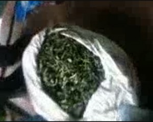 Бельцкие полицейские изъяли наркотики стоимостью около 20 тысяч леев