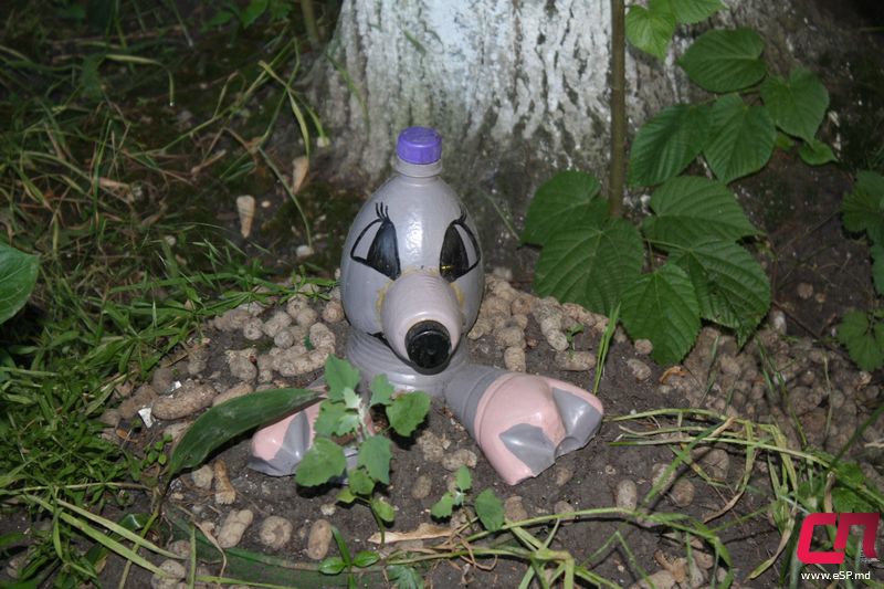 Image03
