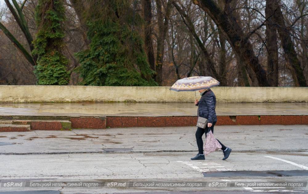 Погода в бельцах на неделю