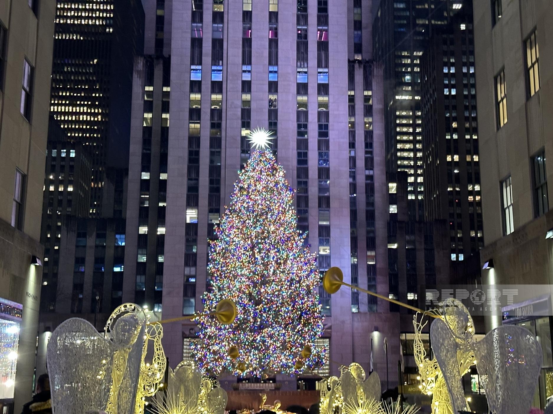 В Нью-Йорке зажглась самая большая в мире рождественская ёлка | СП -  Новости Бельцы Молдова