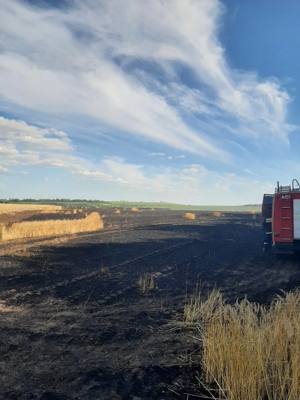 Lanuri de grâu și orz nimicite de flacări: Lichidarea focarelor de ardere a durat circa 5 ore фото 4