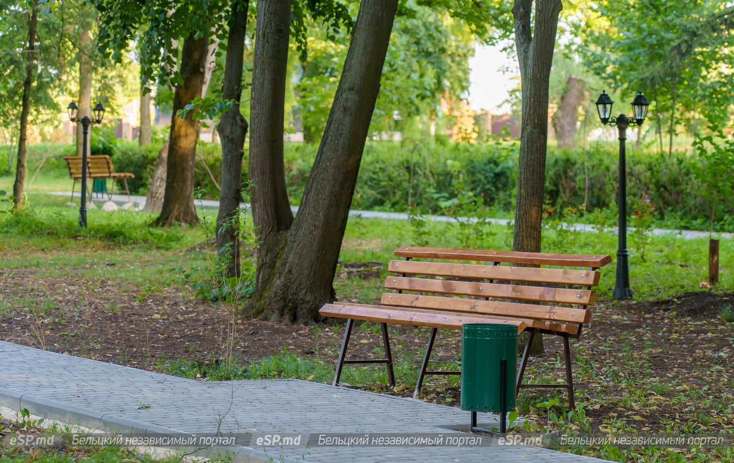 скамейка в парке