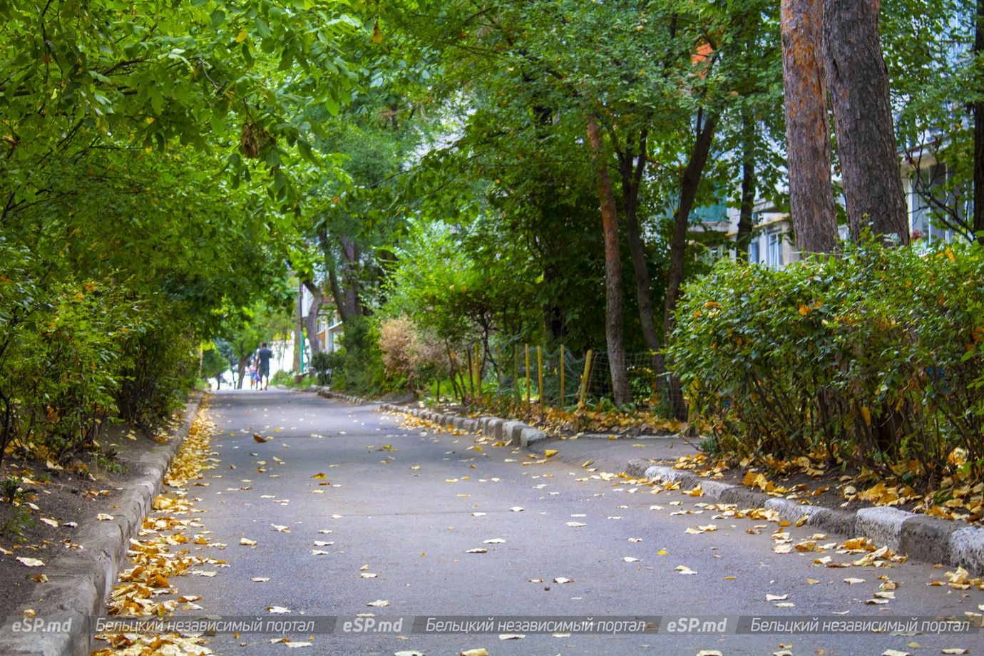 Штрихи города 8-й квартал Бельцы