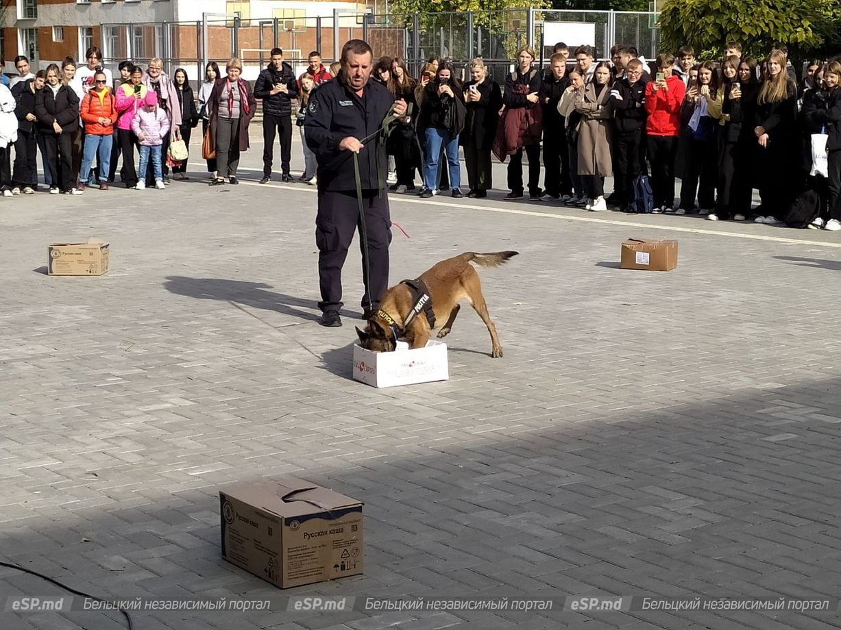 полицейский пёс