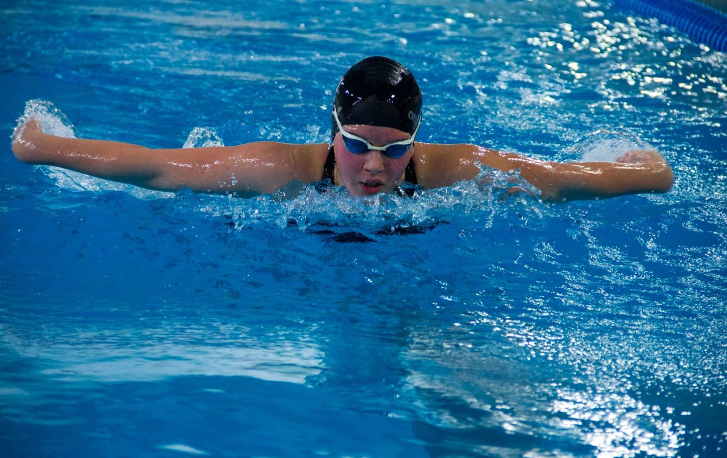 Чемпионат Молдовы по плаванию