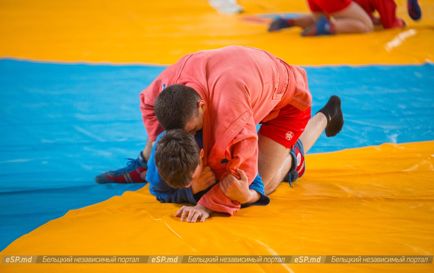 чемпионат Молдовы по самбо