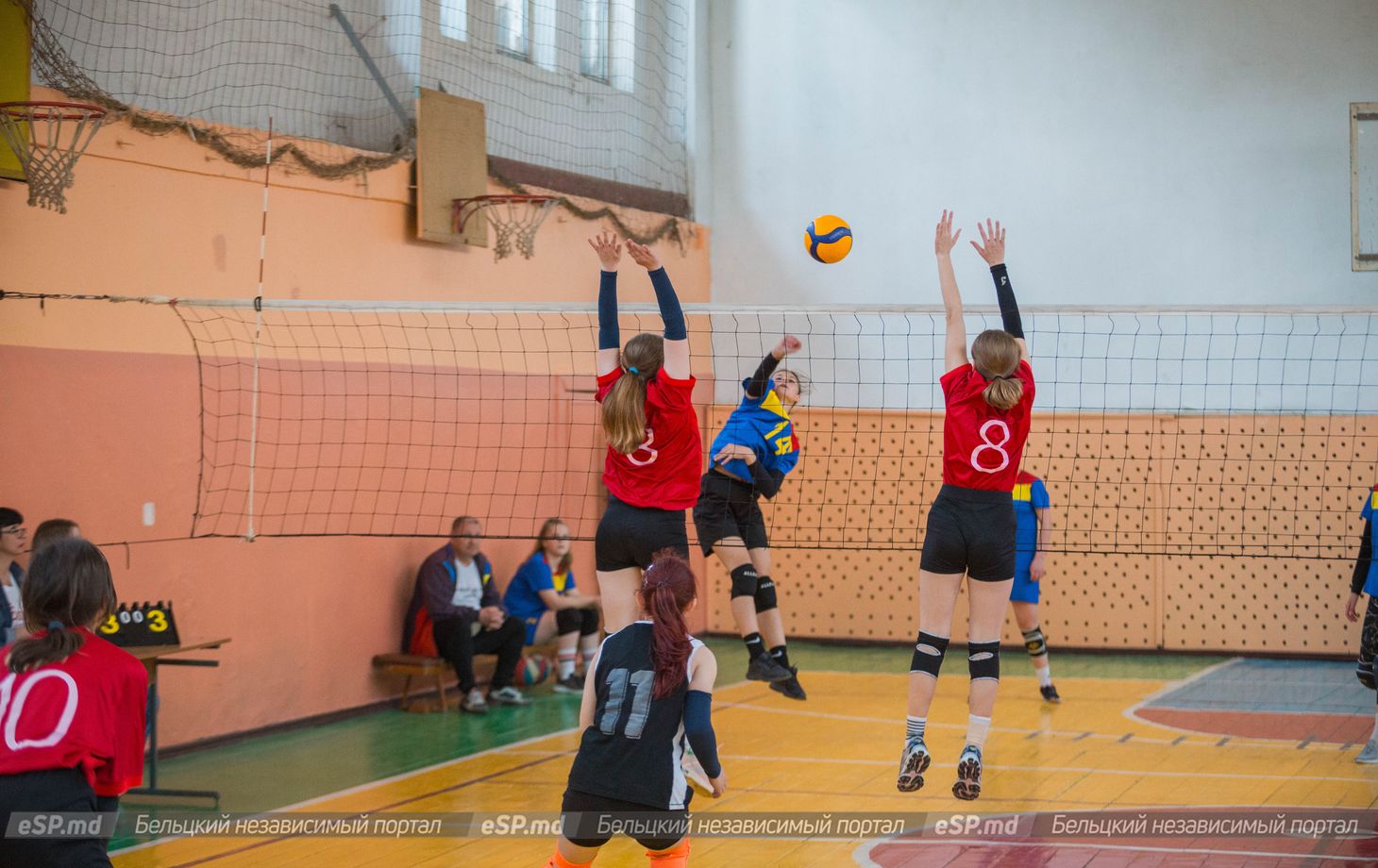 чемпионат Молдовы по волейболу