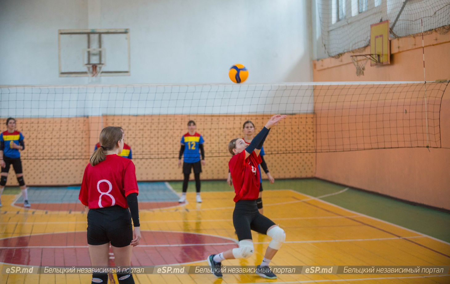 чемпионат Молдовы по волейболу