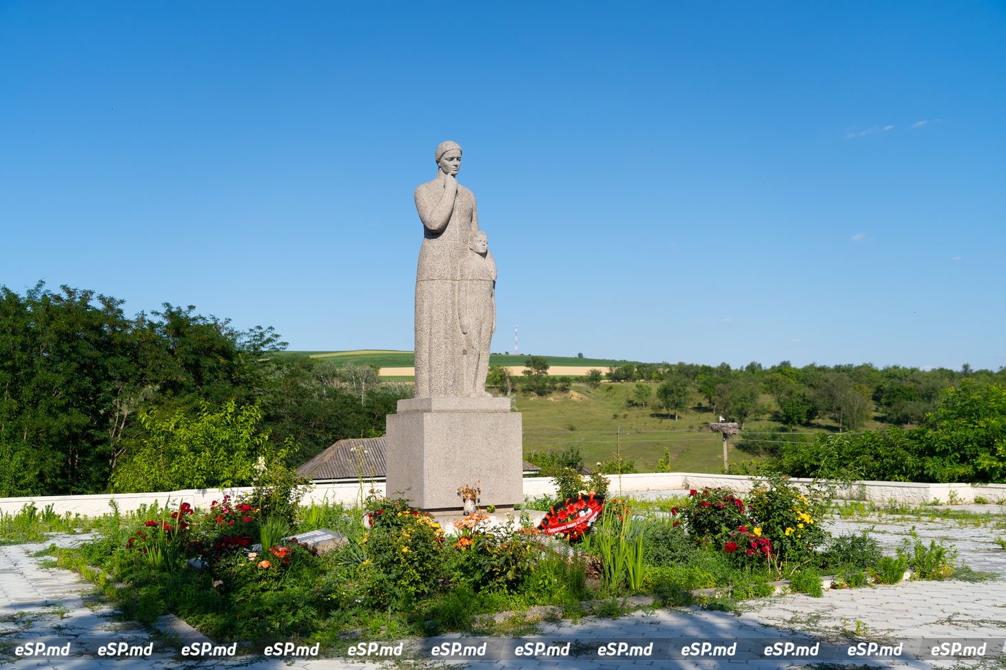 Яблона