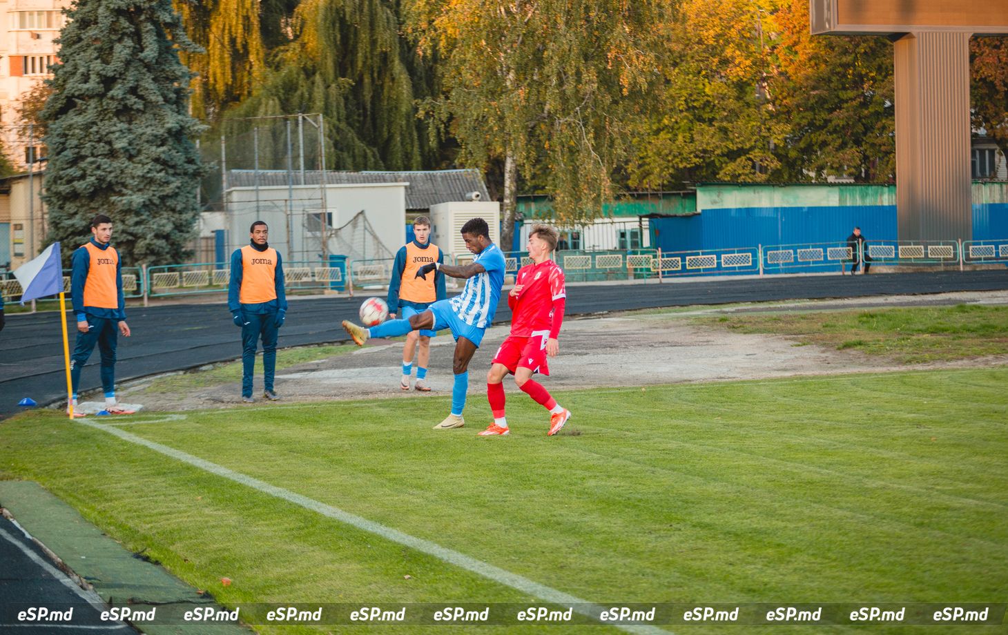 чемпионат Молдовы по футболу