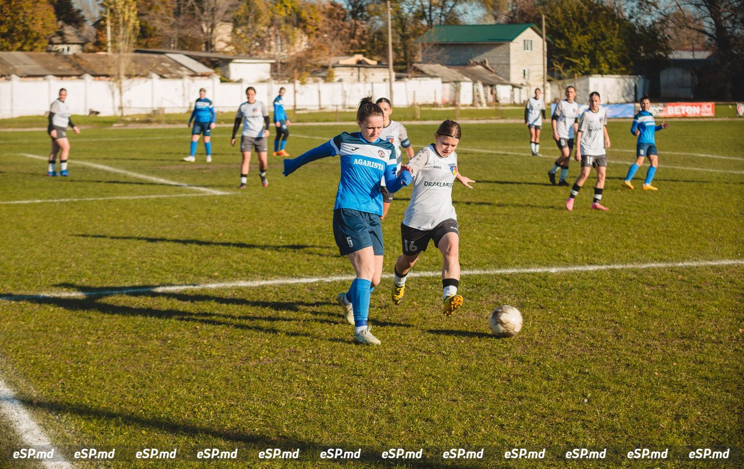 чемпионат Молдовы по футболу