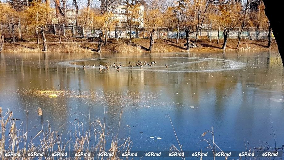 В Единцах строят Островок Мечты