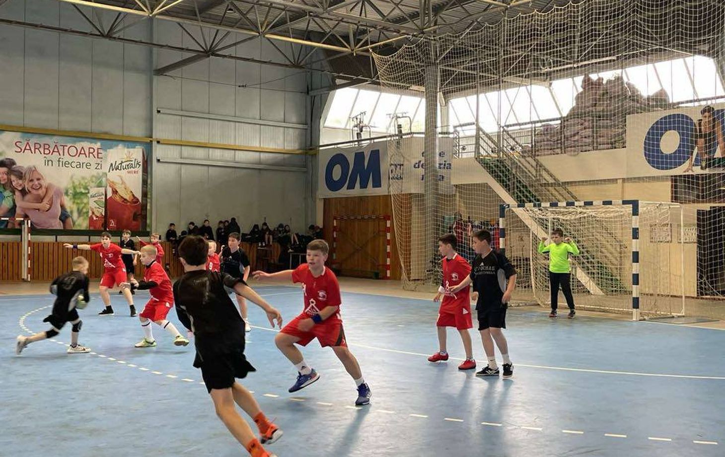 чемпионат Молдовы по гандболу
