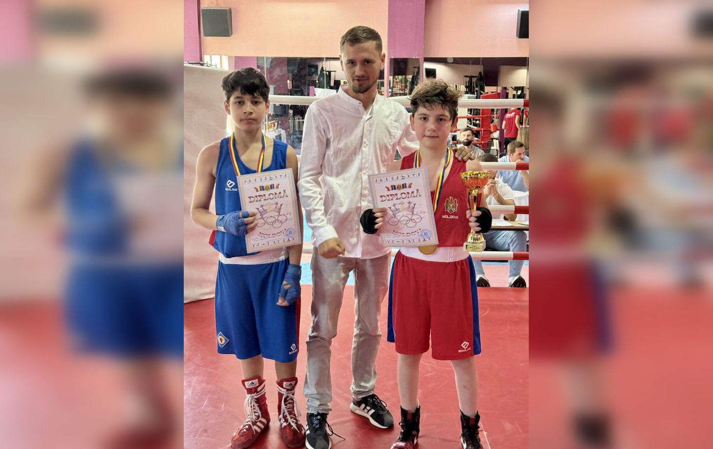турнир по боксу