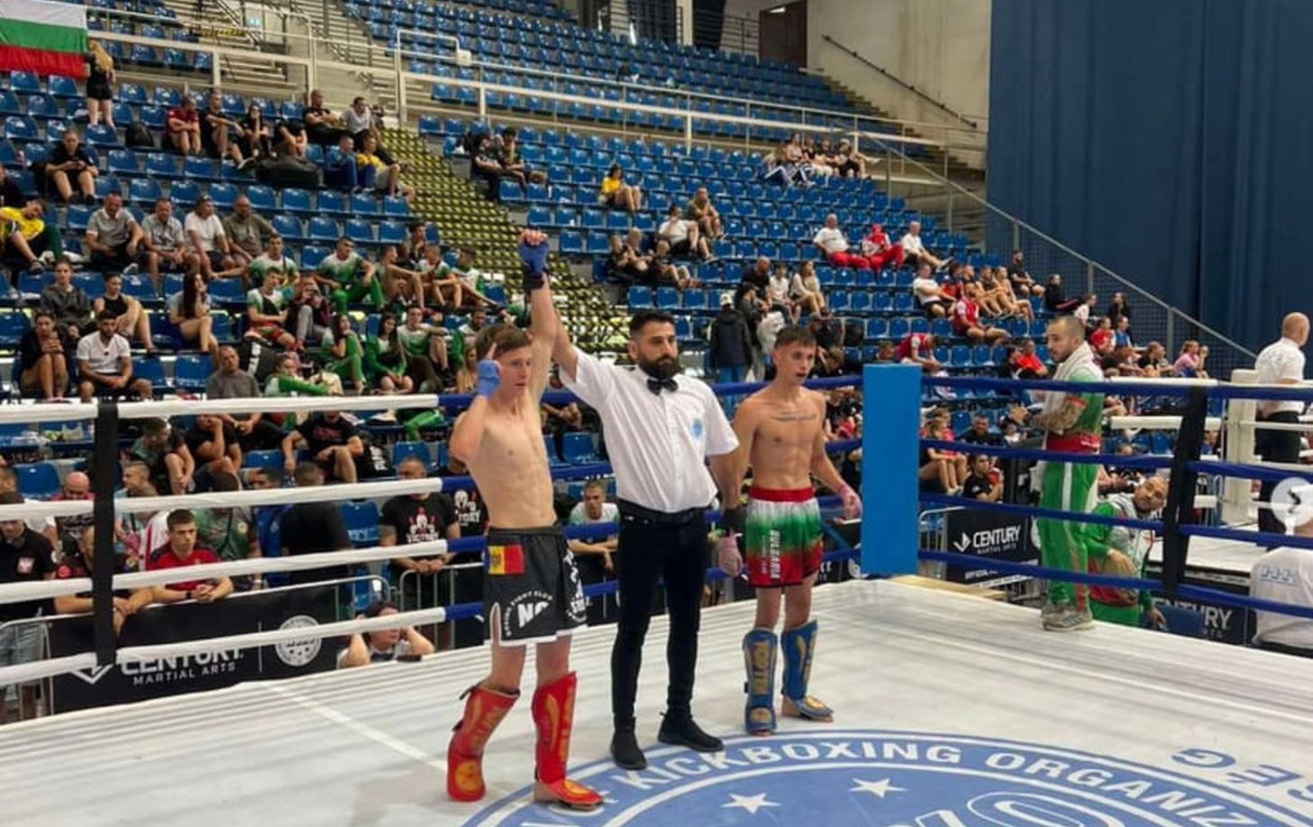 Кубок мира по кикбоксингу 