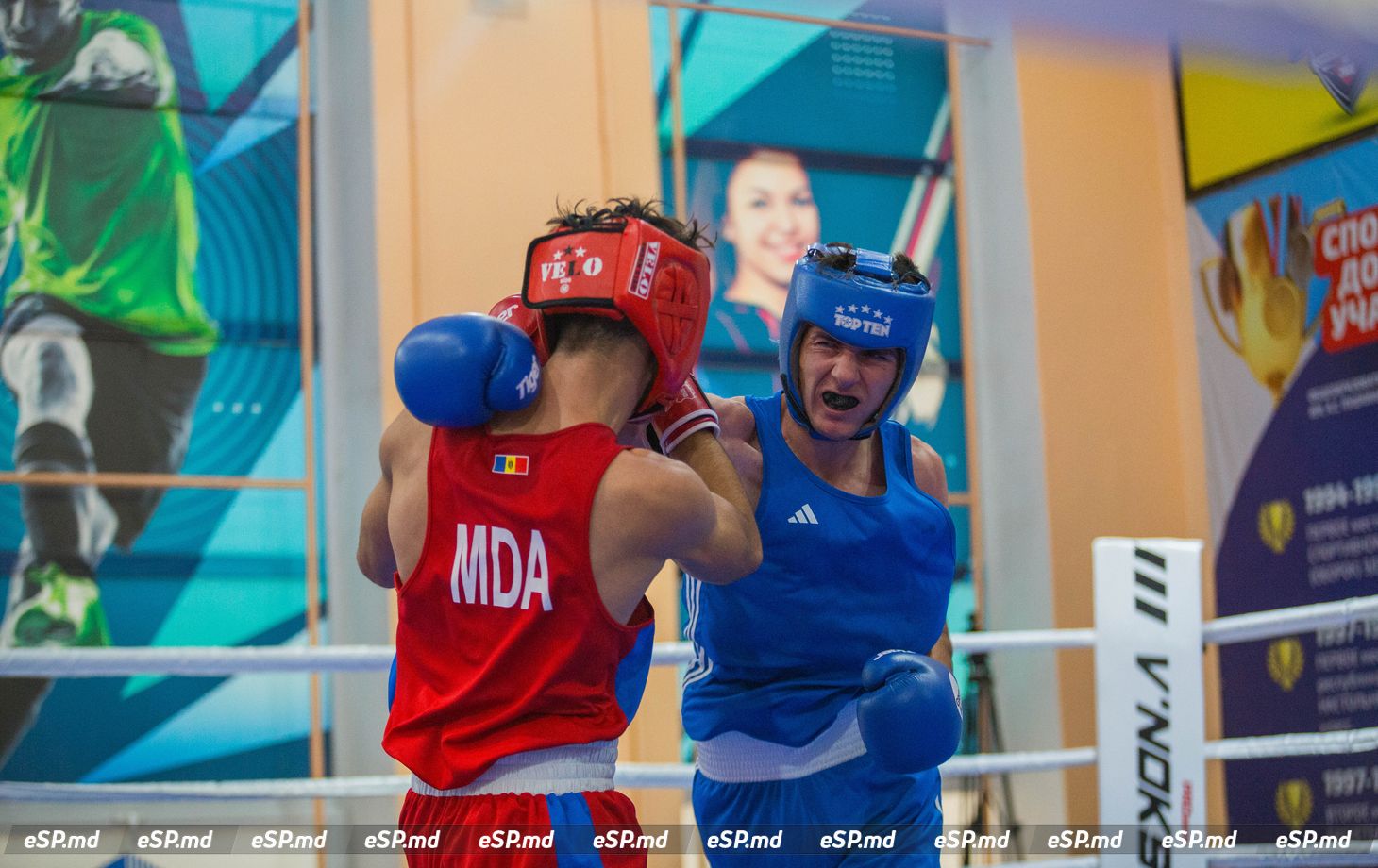 чемпионат Молдовы по боксу