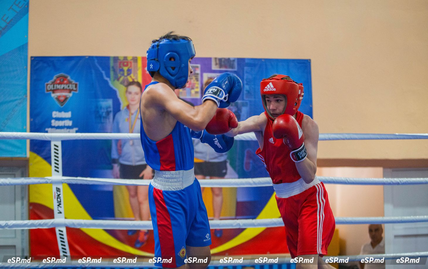чемпионат Молдовы по боксу
