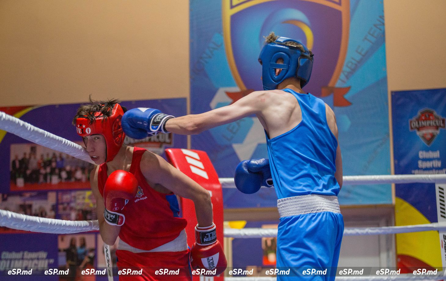 чемпионат Молдовы по боксу