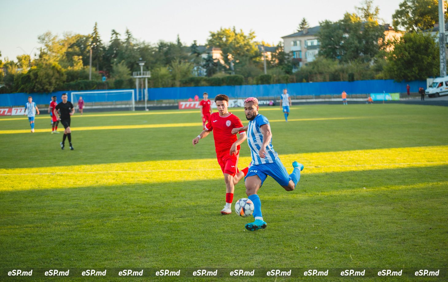 чемпионат Молдовы по футболу