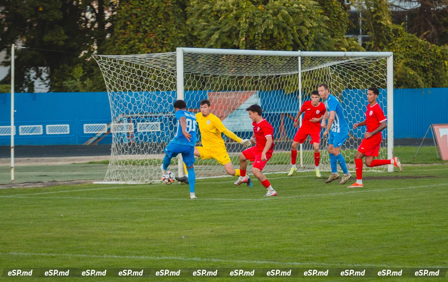 чемпионат Молдовы по футболу