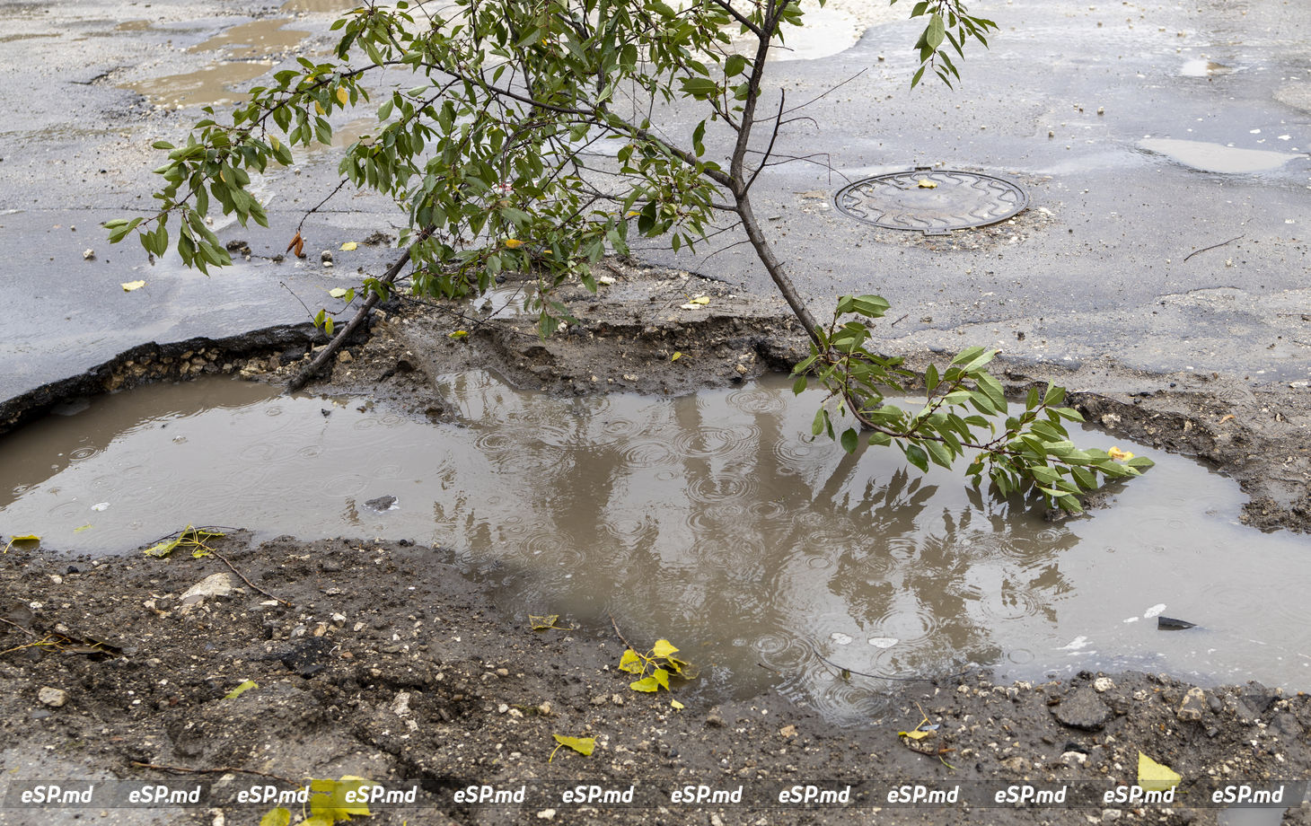 ул. Б. Главана