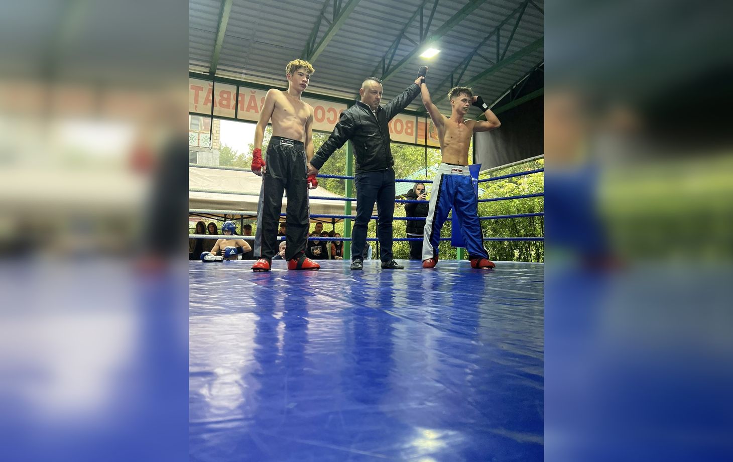 турнир по кикбоксингу