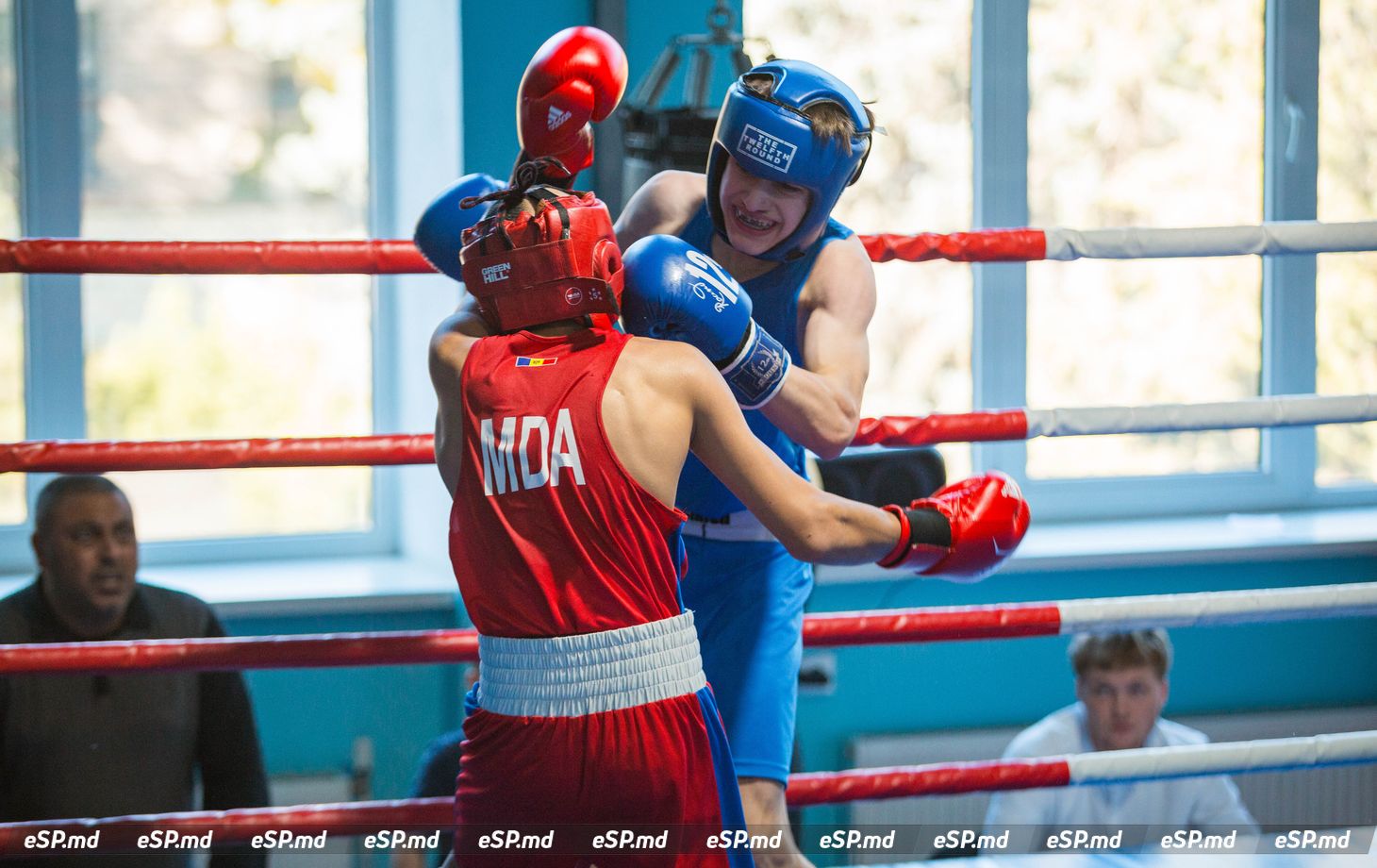 турнир по боксу