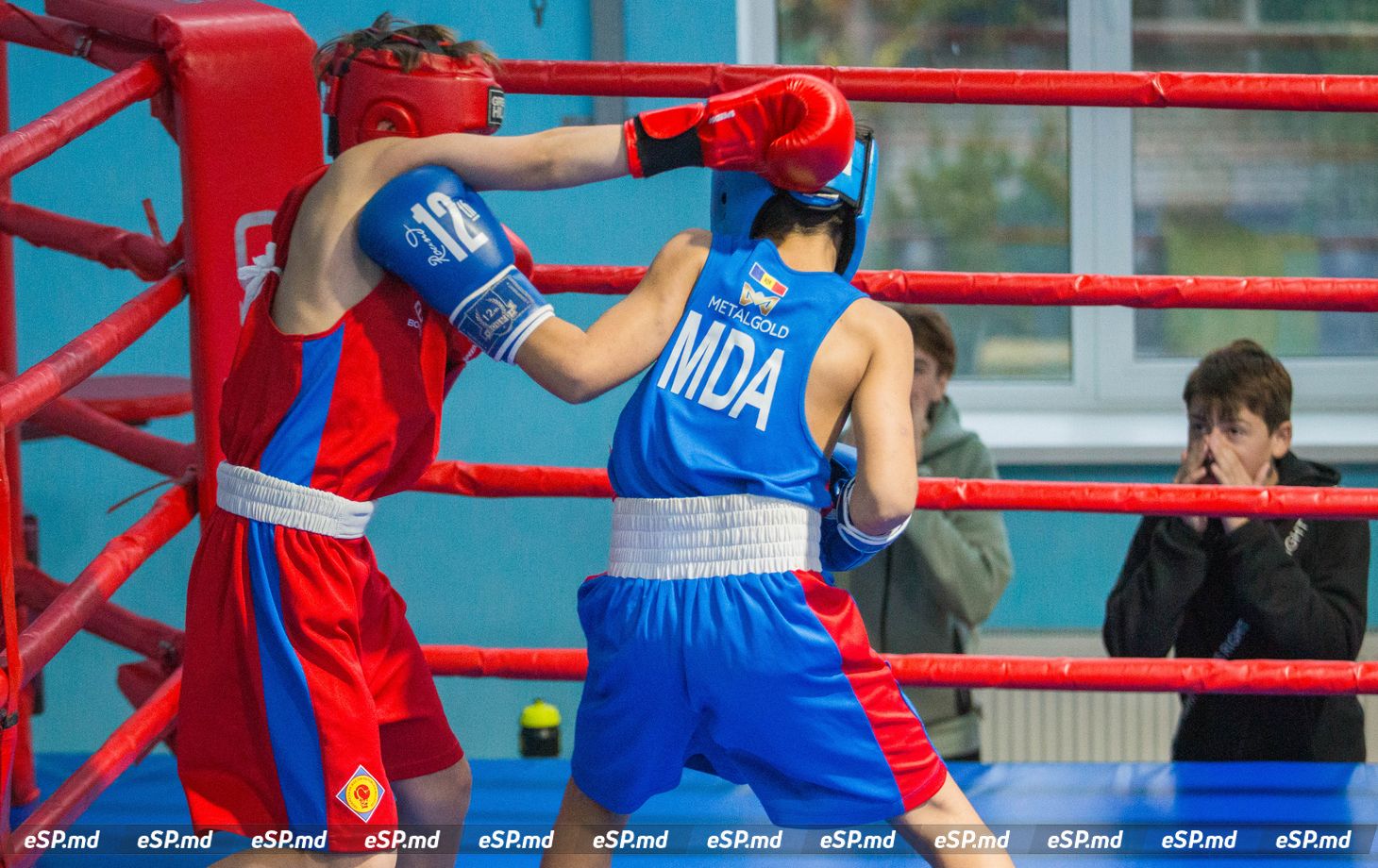 турнир по боксу