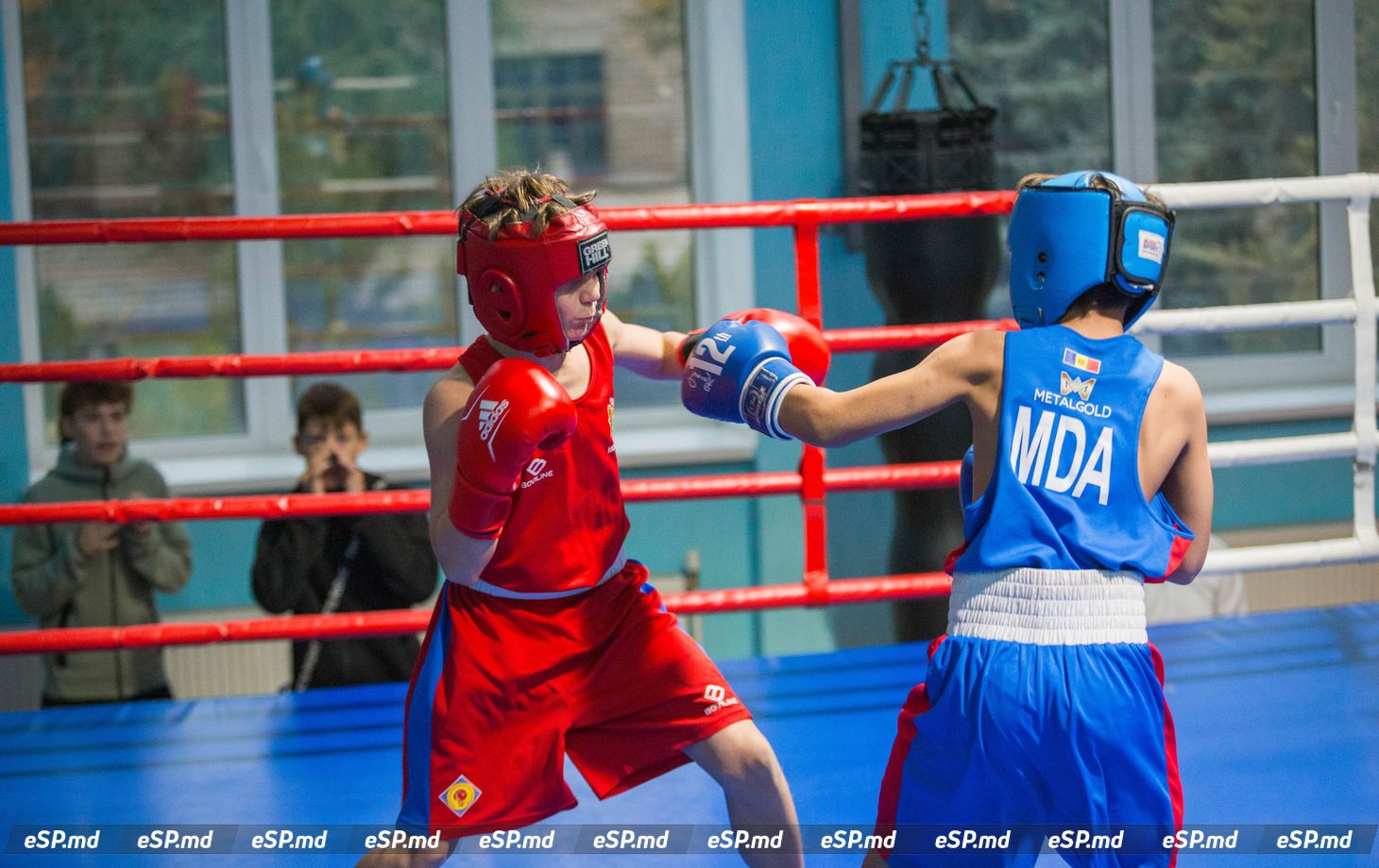 турнир по боксу