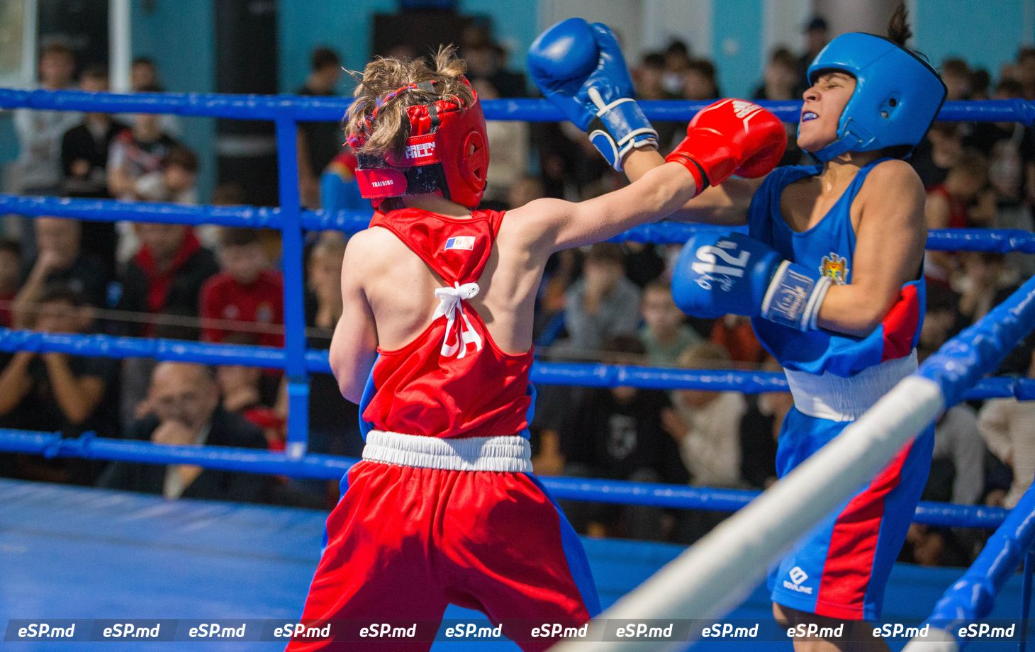 турнир по боксу