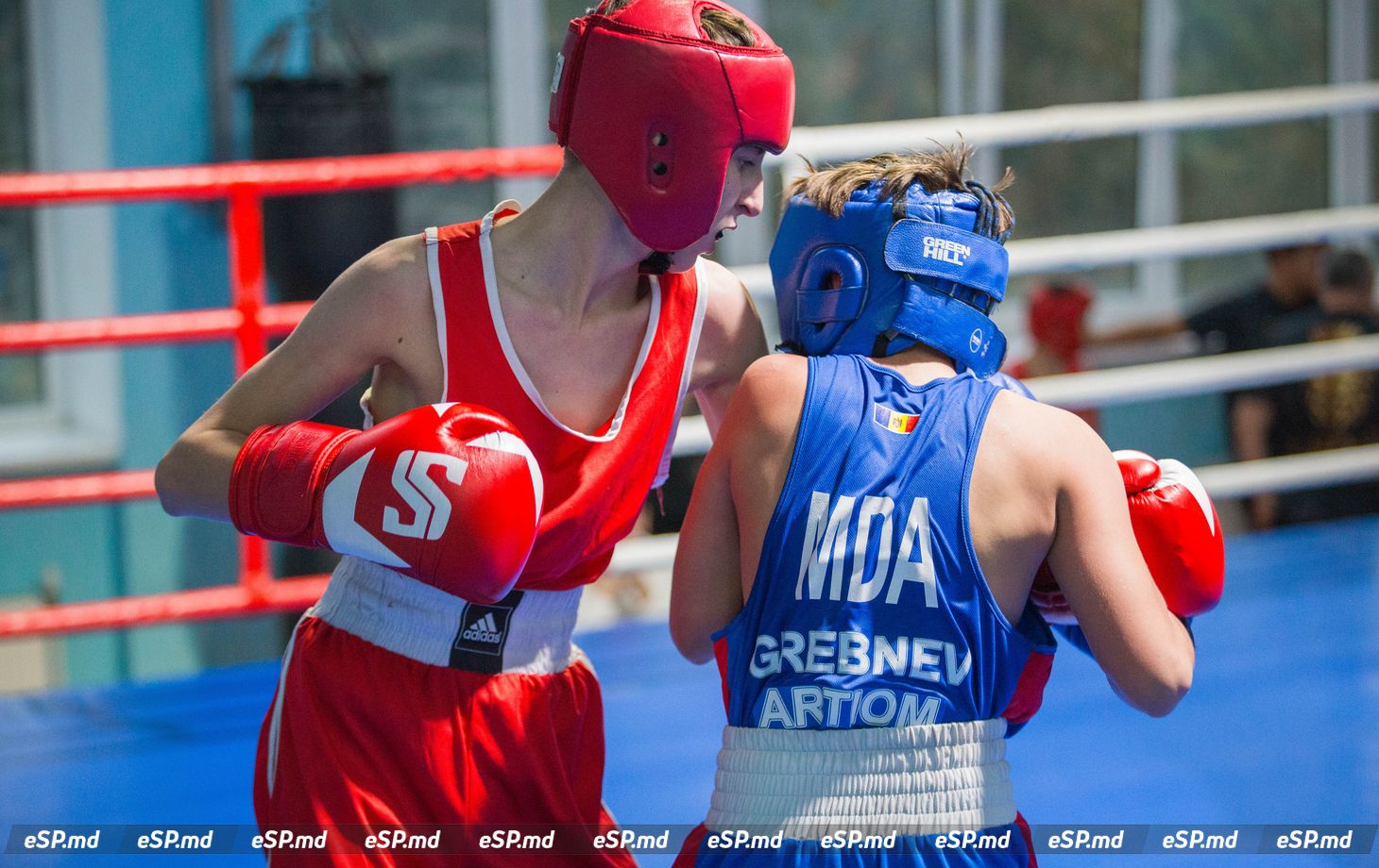 турнир по боксу