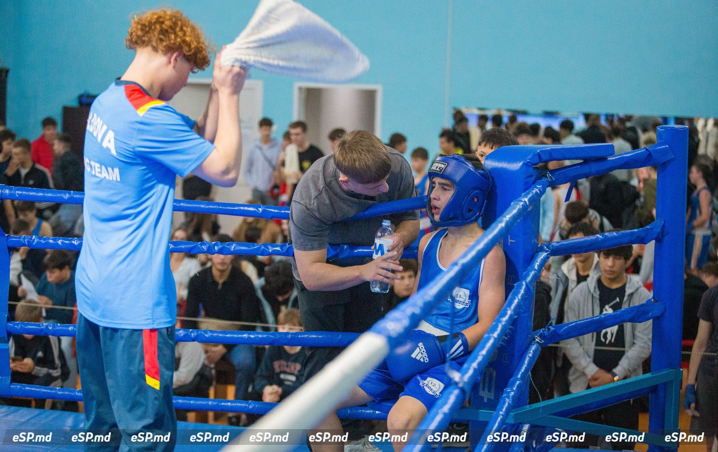 турнир по боксу