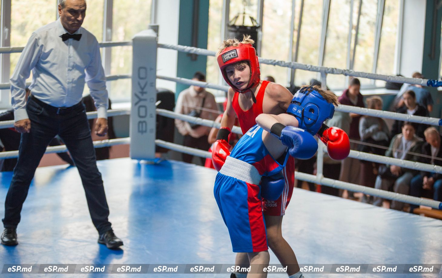 турнир по боксу